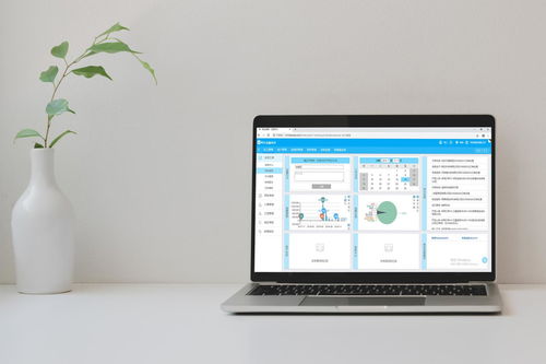 免費裝修管理軟件靠譜嗎？——兼談軟件外包服務的優勢與選擇